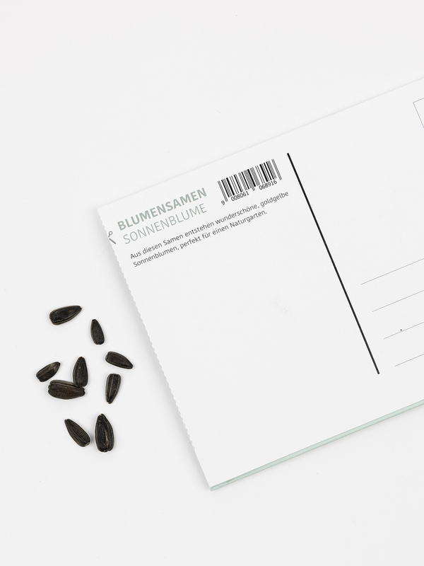 Postkarte mit Sonnenblumensamen - Held des Alltags2