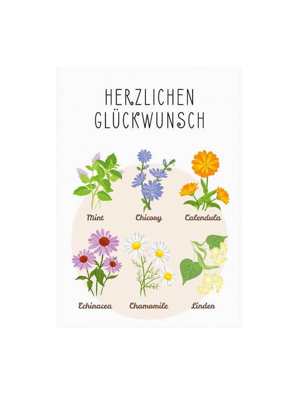 Postkarte mit Sonnenblumensamen - Glückwunsch2