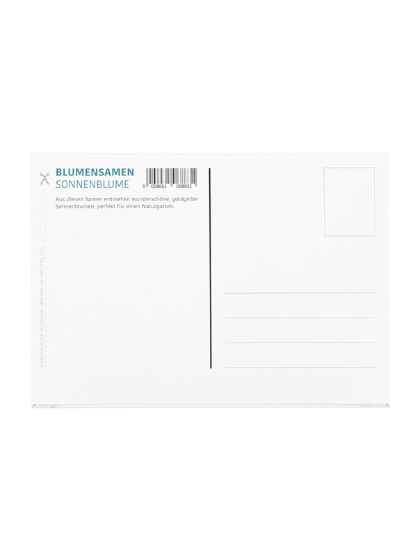 Postkarte mit Sonnenblumensamen – Alles Gute zum Geburtstag1